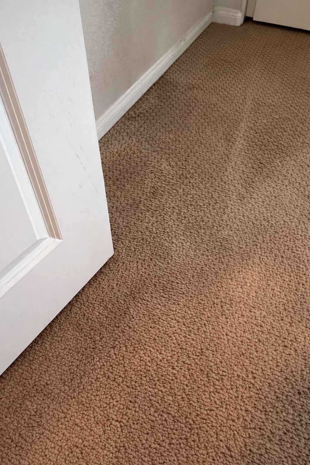 Carpet after