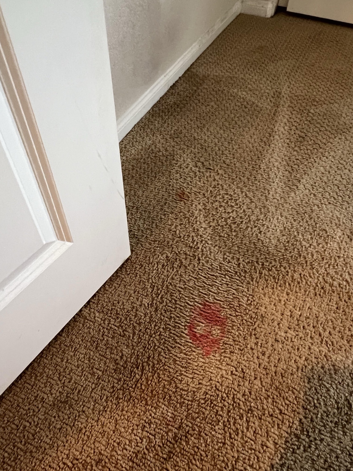 Carpet before